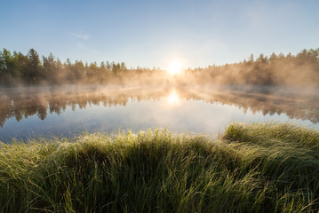 Fototapeta premium Small forest lake at sunrise
