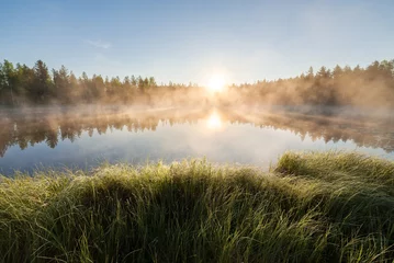 Gordijnen Small forest lake at sunrise © Juhku