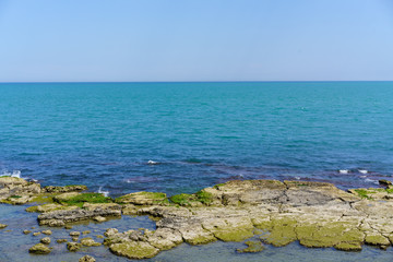 Trani