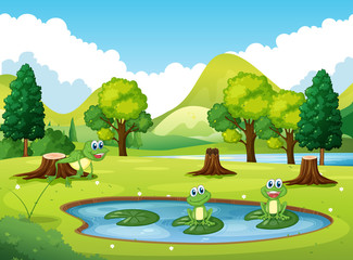 Park scene with three frogs in the pond