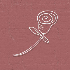 rose illustration