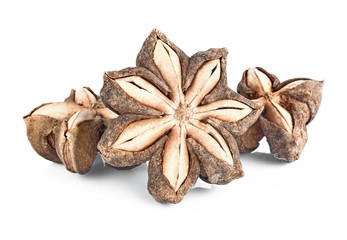sacha inchi peanut seed on white background