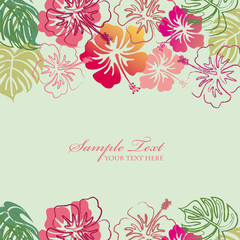 Background of hibiscus