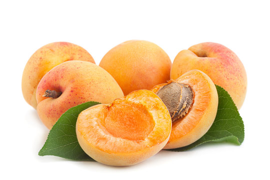 Apricot fruit closeup on white