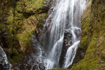 Obraz premium 川、滝