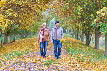 glückliches, gesundes Seniorenpaar im Herbst