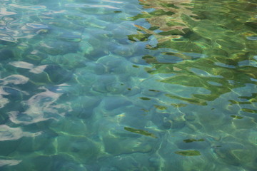 Fototapeta na wymiar Clear and clean water of Lake Orta, Piedmont Italy