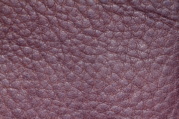 Leather texture background for fashion, furniture or interior idea concept design.