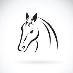Vector of a horse head on white background. Wild Animal