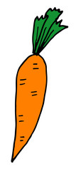 vector doodle hand drawn color illustration of carrot.