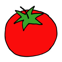 hand drawn doodle icon of tomato. vector