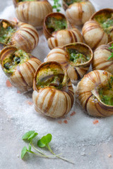 Baked snails with garlic butter and fresh herbs