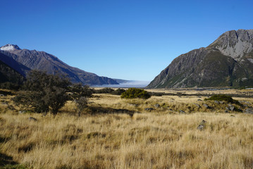 Beautiful landscape of the meadow along the road in New Zealand