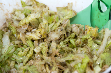   fresh salad bowl with Vinaigrette dressing