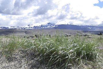 beautiful natural landscape in iceland