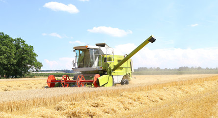 Fototapeta na wymiar Harvesting machine harvesting wheat crops