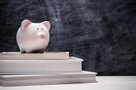 Education Financial Saving. Pink Piggy Bank On Top Of Books With Chalkboard.