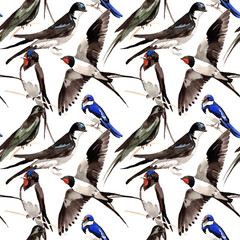 Obraz premium Sky bird Swallows pattern in a wildlife by watercolor style. Wild freedom, bird with a flying wings. Aquarelle bird for background, texture, pattern, frame, border or tattoo.