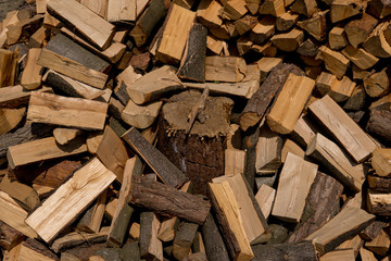 log under pieces of wood