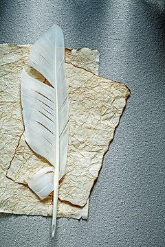 Vintage manuscript feather on grey background
