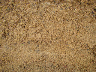 Texture of sawdust close up