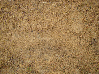 Texture of sawdust close up
