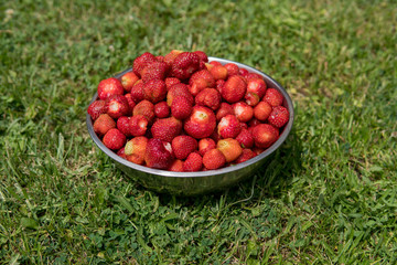 sweet and soft strawberries