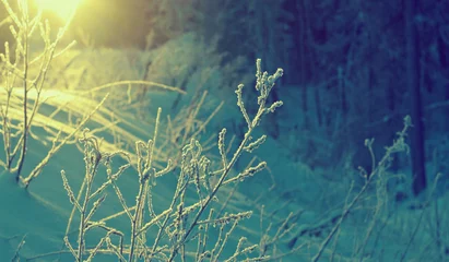 Photo sur Plexiglas Hiver Winter landscape.