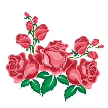 Pink roses in cartoon style
