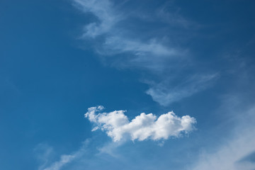 Wolkwn
