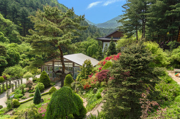Fototapeta na wymiar traditional korean garden with pavillion