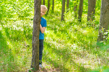 Blond boy in a blue T-shirt hiding behind a tree trunk in a park on a sunny day