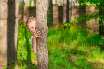 Blond boy in a white T-shirt hiding behind a tree trunk