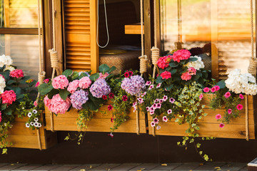 Fototapeta na wymiar Flowerpot with flowers in outdoor cafe.