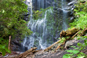 Closeup of remote and desolate Yalynskyi waterfall with water drops falling against rocky slope. Verdant plants, trees and logs on the foreground. Summer day, Carpathian mountains, Ukraine