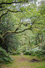 Fototapeta premium Beautiful camping spot