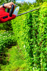 mowing hedges