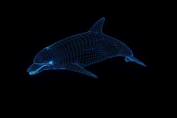 Dolphin in Hologram Wireframe Style. Nice 3D Rendering
- 164933198
