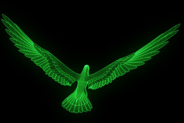 Eagle in Hologram Wireframe Style. Nice 3D Rendering
- 164933500