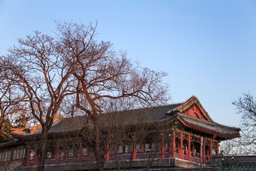 Fototapeta premium Beijing