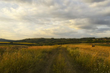 scenic road in summer outdoor in nature. summer walk in nature