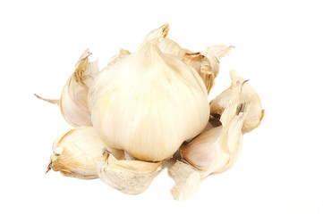 Head of garlic. Isolated on a white background.