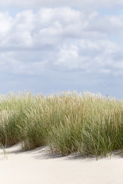 Dünen in Dänemark in unterschiedlicher Ausprägung / Wetterlage | Hintergrundbilder © Gert Lapoehn Fotogr.