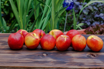 Group of whole nectarine fruits on the wooden background. Peaches are popular fruits for summer.