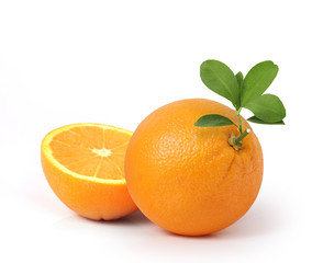  orange on white background