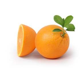  orange on white background