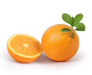  orange on white background