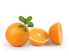  orange on white background