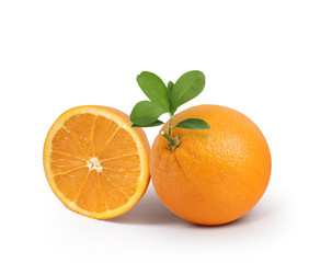  orange on white background