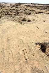 Rocky deserted landscape with ancient dot carvings at Jebel Jassassiyeh site in Northern Qatar.